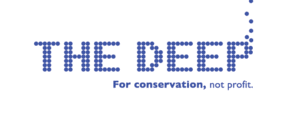 The-deep-logo